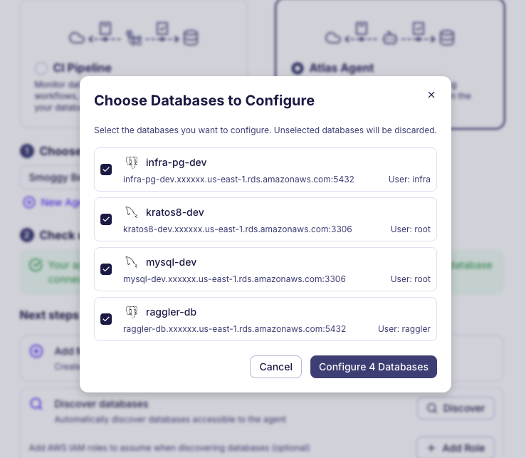Atlas Schema Monitoring discovered instances